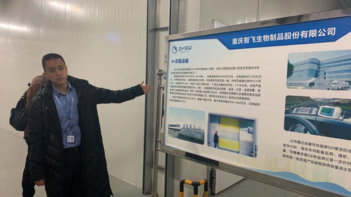 重慶江北 智能制造,萬物可期