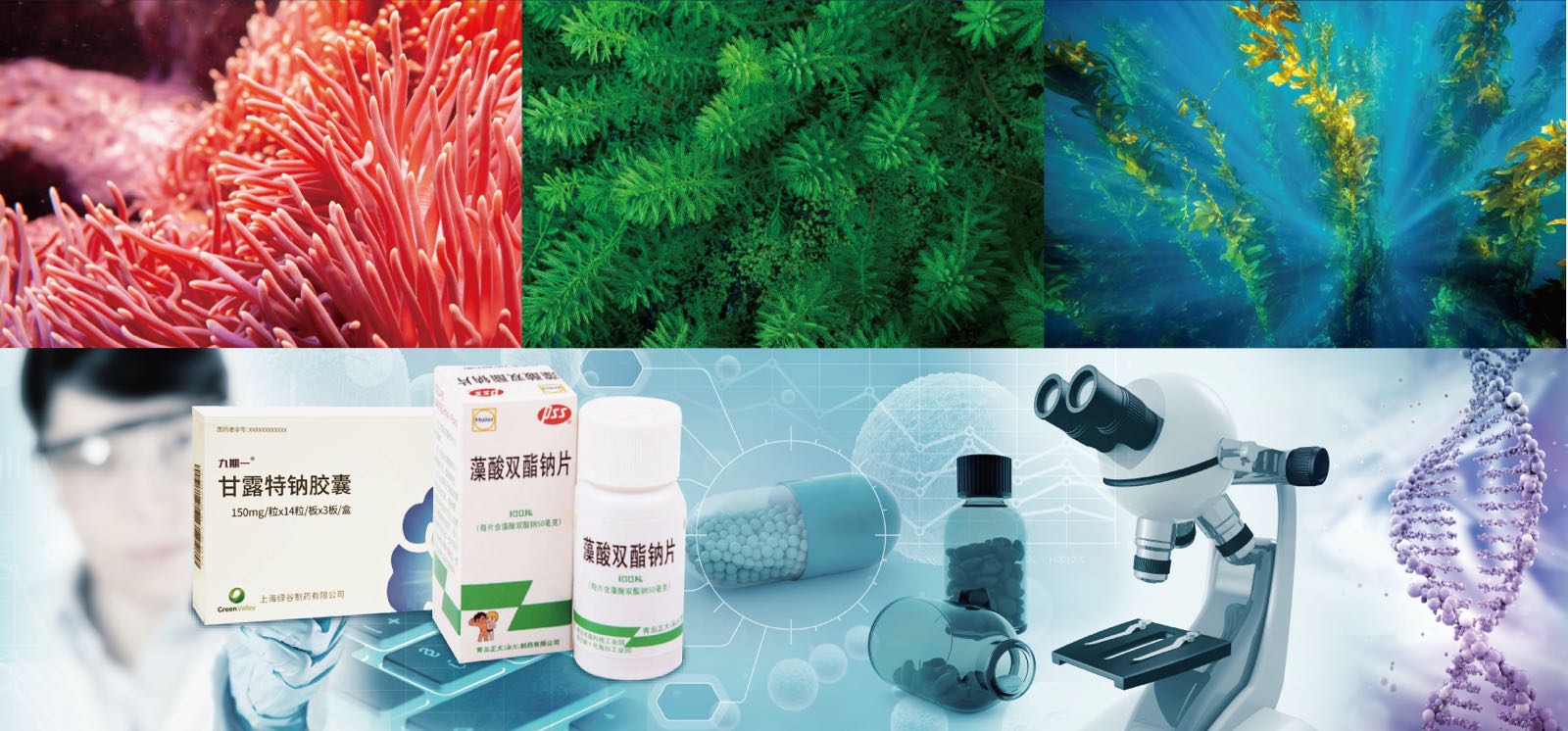 華大海洋樹立企業(yè)擔(dān)當(dāng)大力促進海洋生物醫(yī)藥研發(fā)